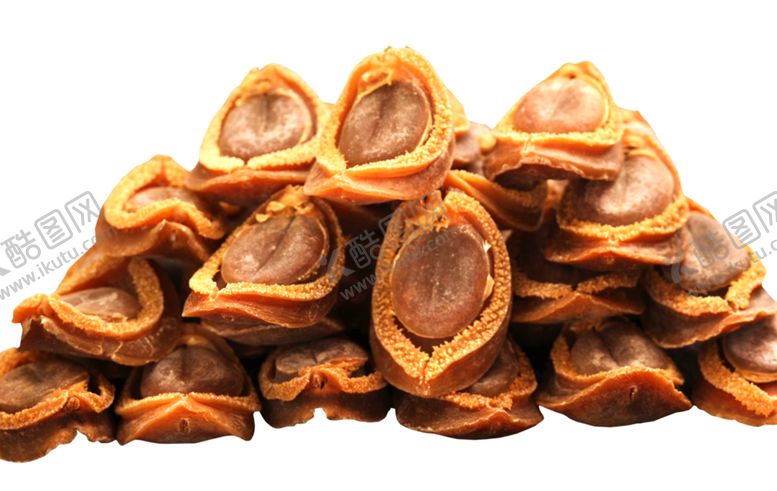 编号：63264009132044166234【酷图网】源文件下载-鲍鱼