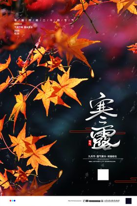 寒露小雪大暑宣传冬至