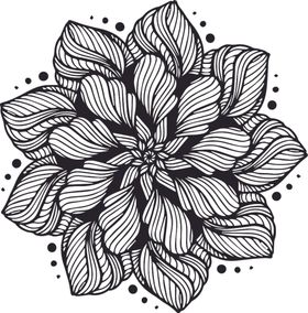 曼陀罗花纹