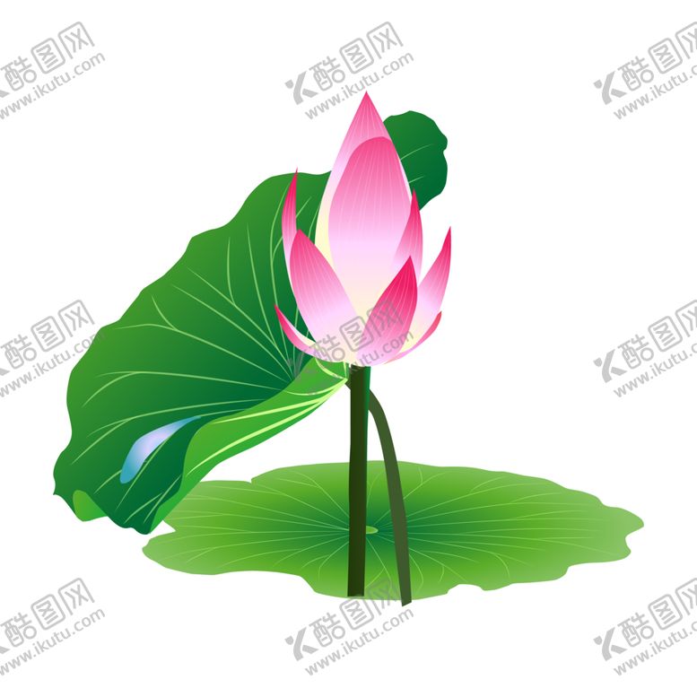 编号：76621104081356591053【酷图网】源文件下载-荷花元素
