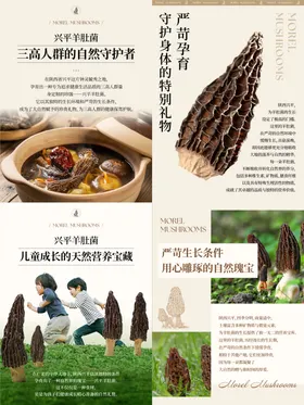 羊肚菌系列海报