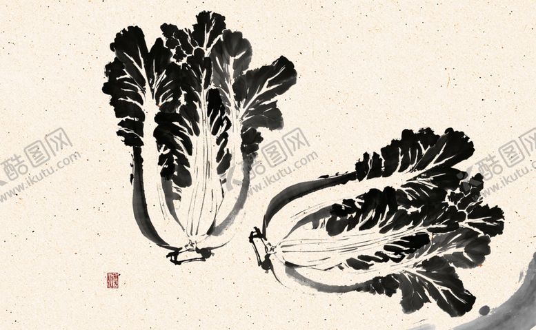 编号：89897902260045102681【酷图网】源文件下载-水墨白菜