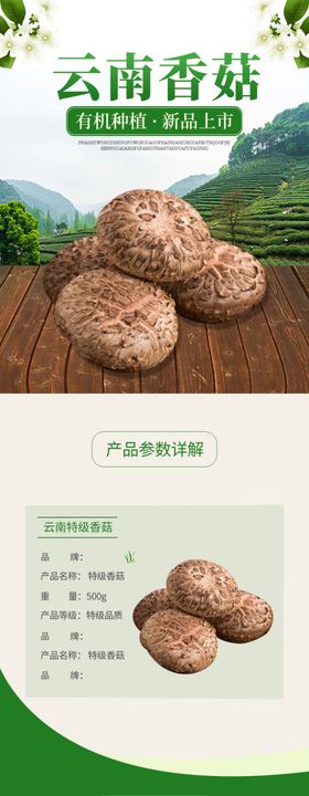 香菇蘑菇促销海报