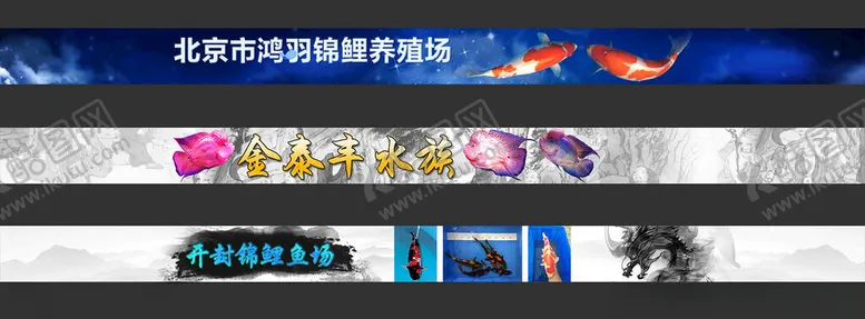 编号：57067201182240321573【酷图网】源文件下载-水族观赏鱼店招banner