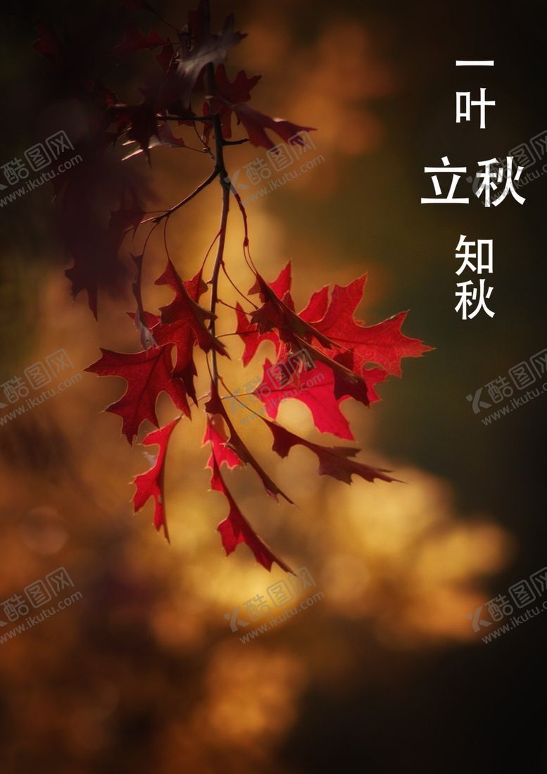 编号：28611606242038579664【酷图网】源文件下载-立秋