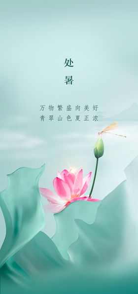 处暑海报荷花