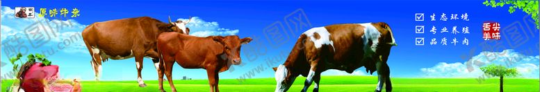 编号：50850109090304006914【酷图网】源文件下载-牛杂店