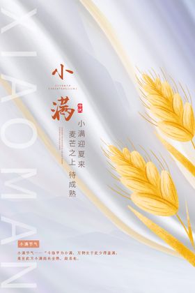 小满海报节气活动促销