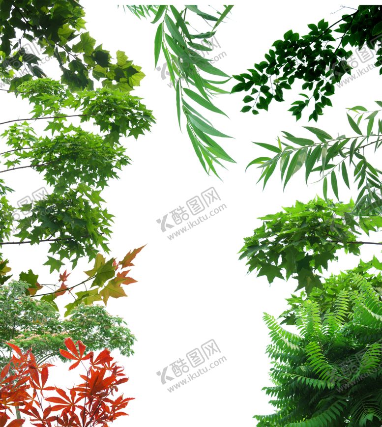 编号：88123510172137571806【酷图网】源文件下载-绿色背景