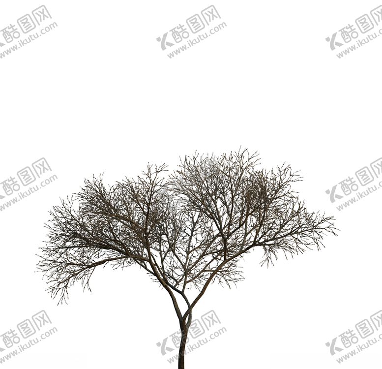 编号：16951610192341093694【酷图网】源文件下载-树木