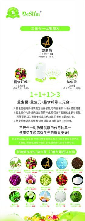 DeSlim标志