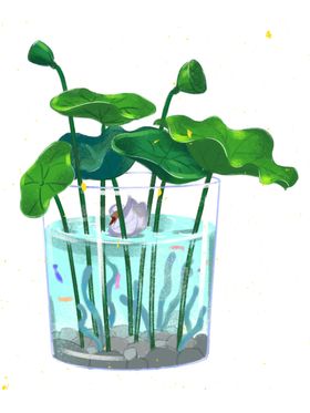 植物插画  