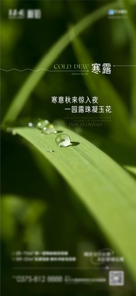 二十四节气寒露