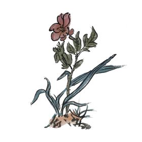 水墨插画素材