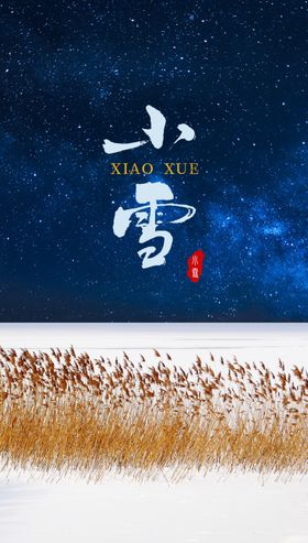 小雪节气海报海报芦苇