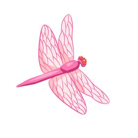 蜻蜓