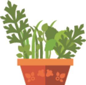 花盆