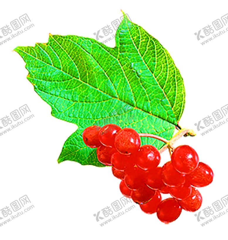 编号：71440909261723318263【酷图网】源文件下载-浪漫素材