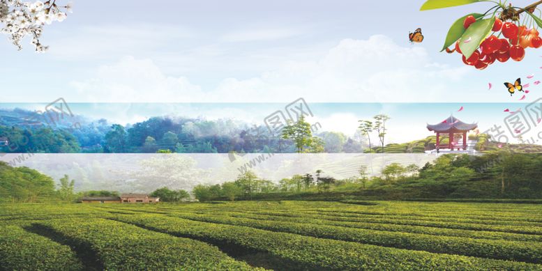 编号：83738606300920261540【酷图网】源文件下载-茶园风景