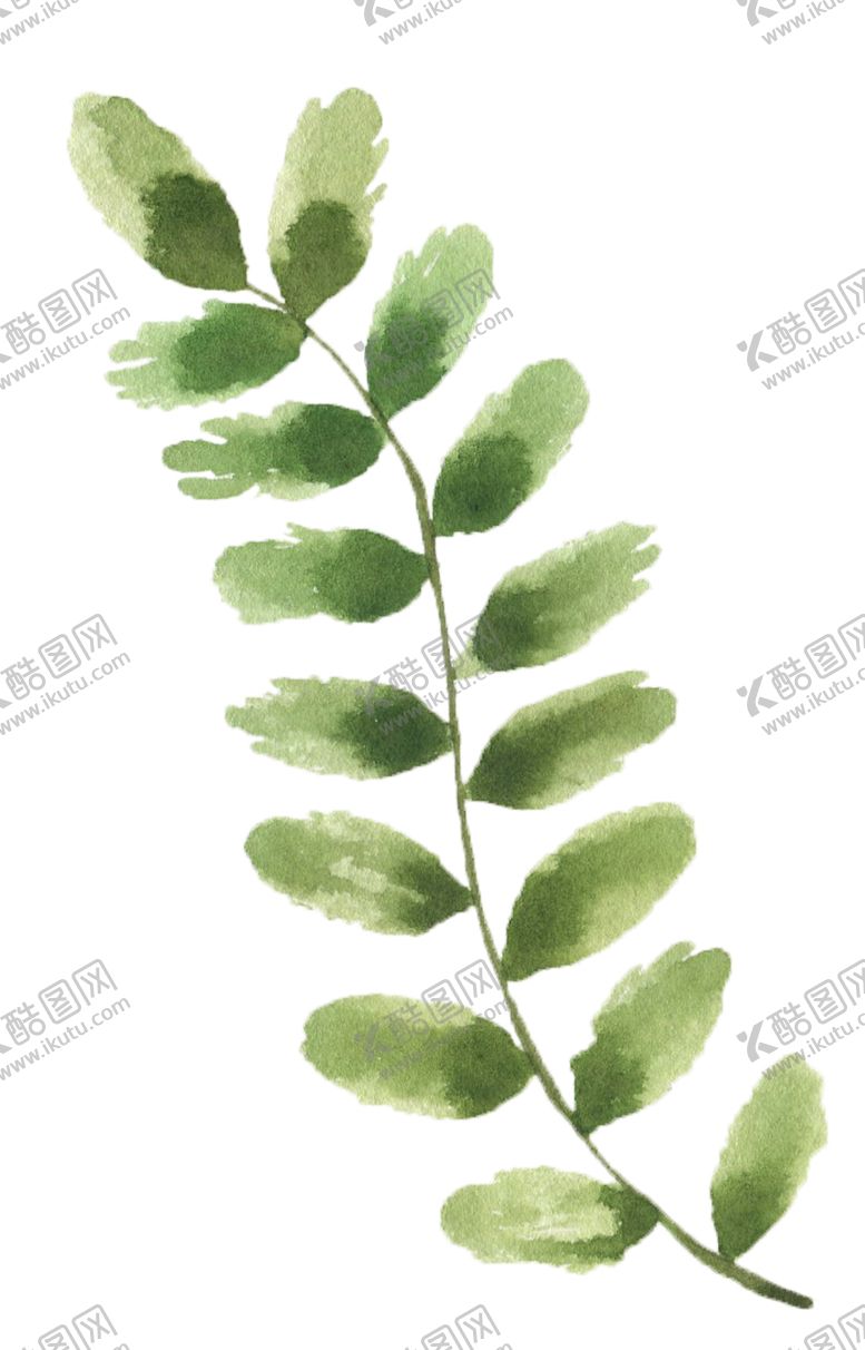 编号：68473110102312246466【酷图网】源文件下载-手绘植物花卉