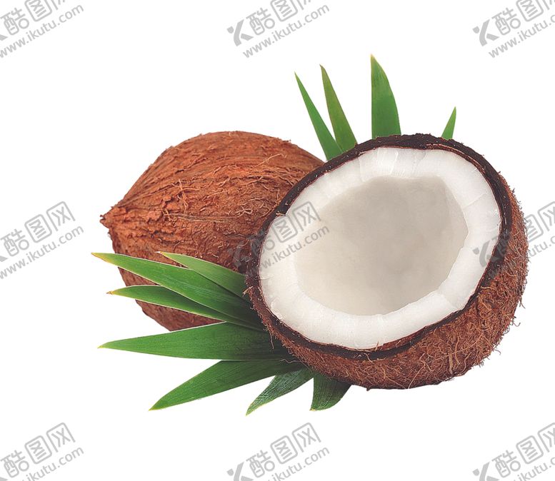 编号：49476010040432477797【酷图网】源文件下载-椰子