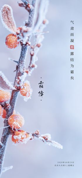 霜降小雪二十四节气寒夜叶子