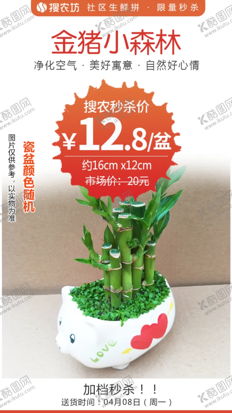 编号：47026003271019445214【酷图网】源文件下载-金猪小森林秒杀