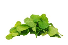 薄荷