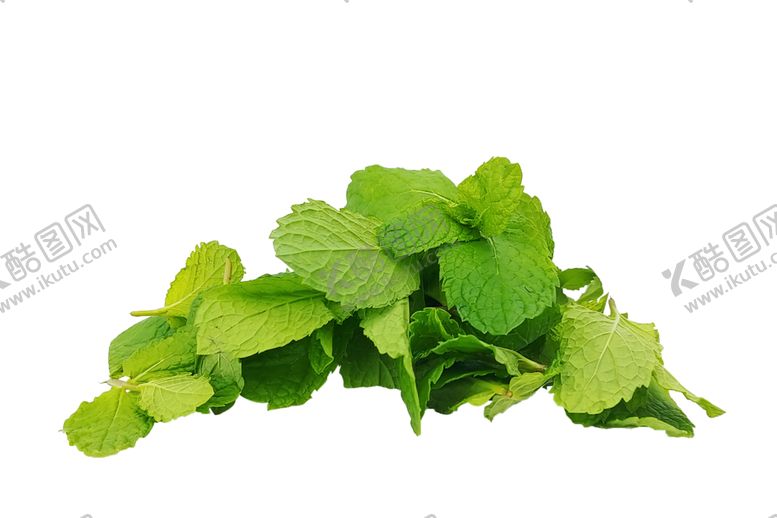编号：58713510101145373671【酷图网】源文件下载-薄荷