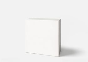 手提购物袋效果图样机