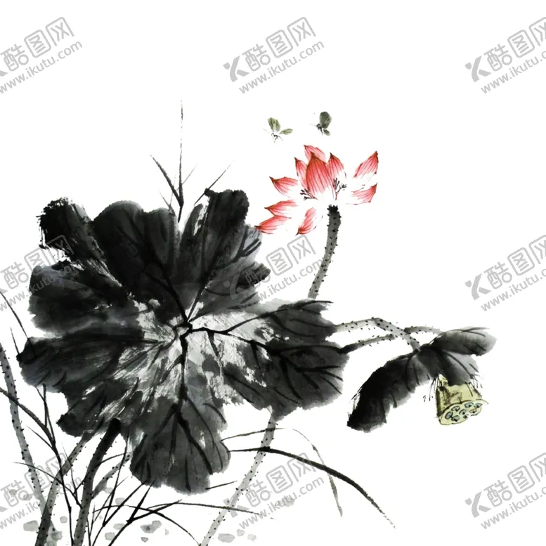 编号：33902401251539098925【酷图网】源文件下载-荷花素材