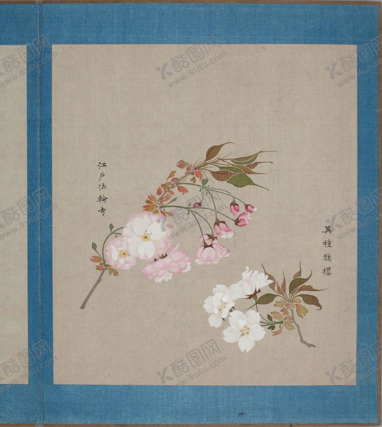 编号：70584003261248168707【酷图网】源文件下载-樱花