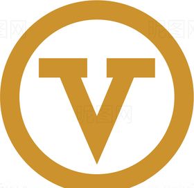 VIP会员