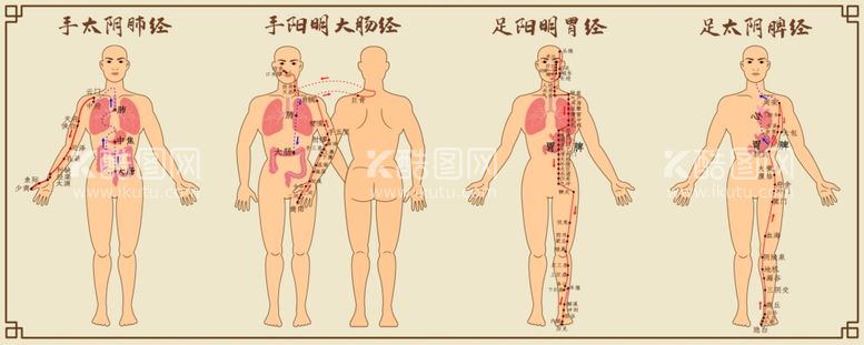 编号：85070812212334174949【酷图网】源文件下载-中医经络图