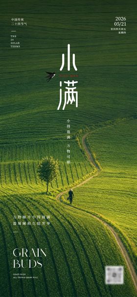 小满节气海报