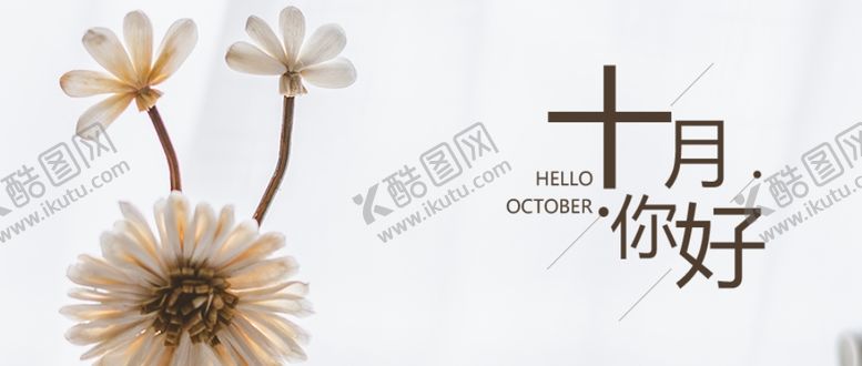 编号：23554009210633182673【酷图网】源文件下载-十月你好