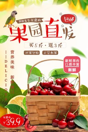樱桃海报