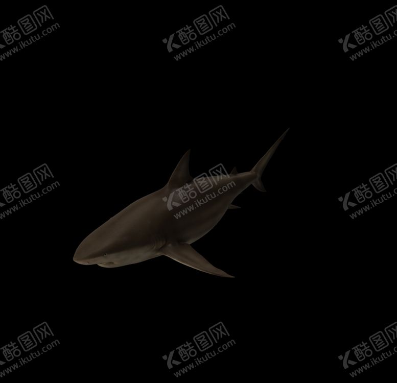 编号：70886510021716334111【酷图网】源文件下载-海洋生物