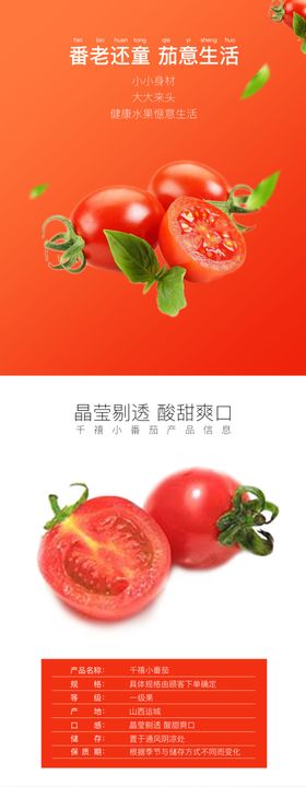 千禧小番茄详情页
