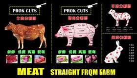 肉类分割图