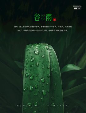 编号：70215409241320219543【酷图网】源文件下载-谷雨节气海报