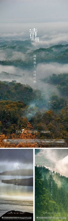 清明谷雨雨水白露夏至立夏节日海报