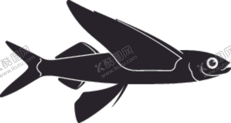 编号：74181510020218438196【酷图网】源文件下载-海洋生物系列飞鱼