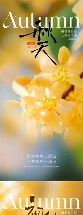 国风秋季节气系列海报