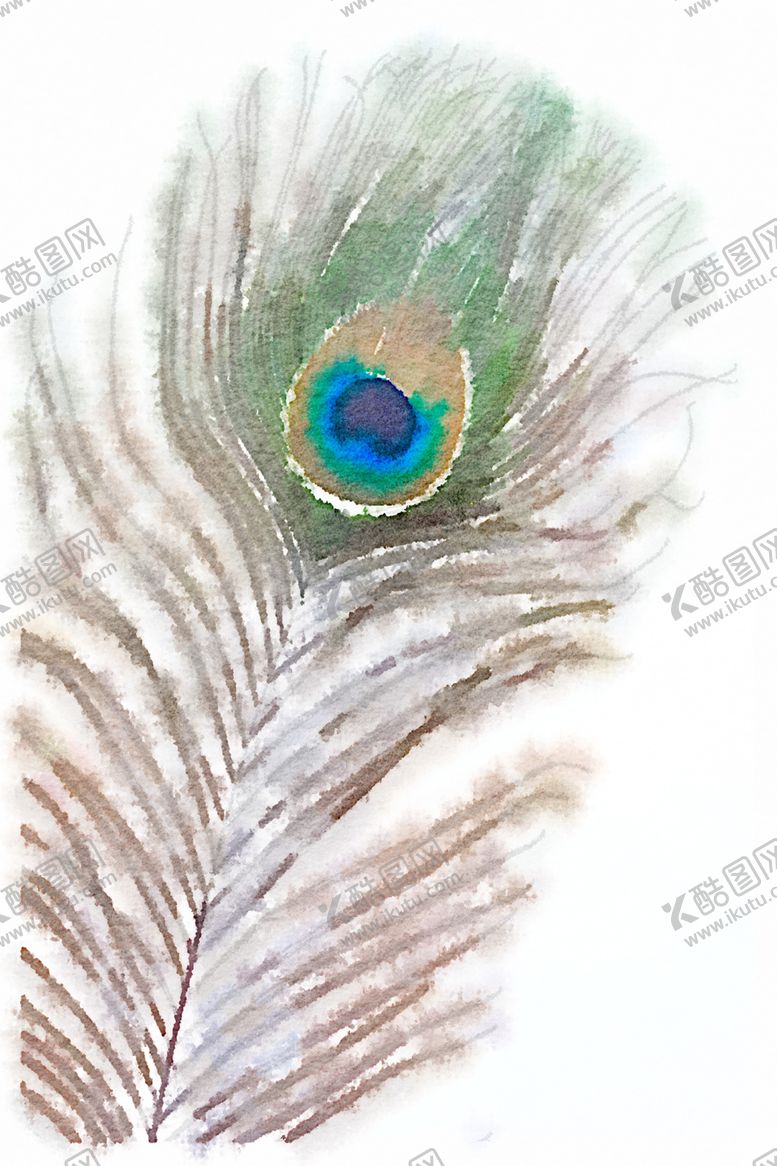 编号：30608710271002229304【酷图网】源文件下载-水彩插画鸟图案