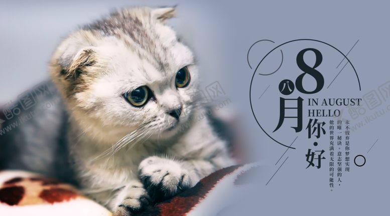 编号：33262809241214179938【酷图网】源文件下载-八月