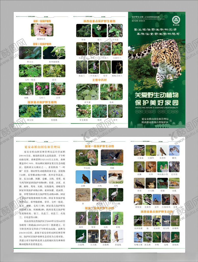 编号：85703410060639482217【酷图网】源文件下载-动物折页彩页