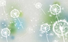 梦幻蒲公英墙纸电视墙