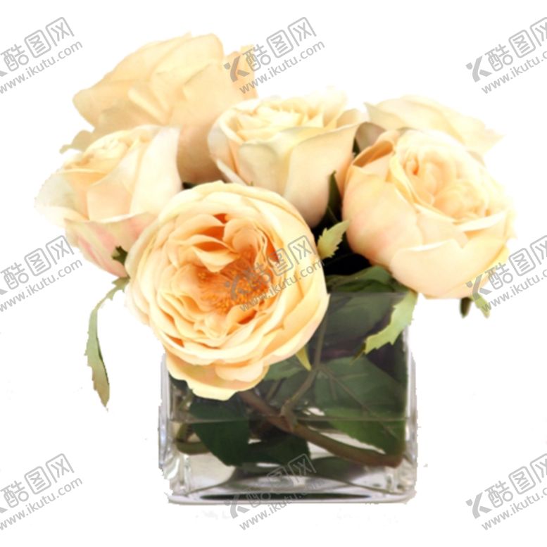 编号：89881610231845498187【酷图网】源文件下载-免抠背景花草树木
