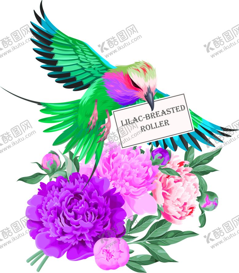 编号：92571306242011076316【酷图网】源文件下载-鲜花素材